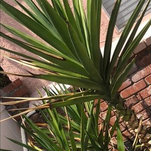 Meet your Posher, Shant